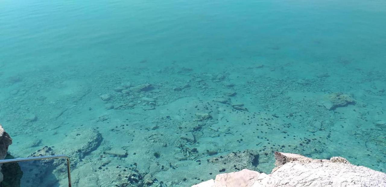 Apartments Sanda Tribunj Tribalj المظهر الخارجي الصورة
