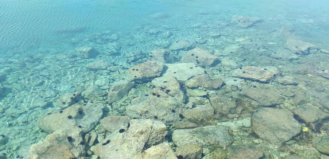 Apartments Sanda Tribunj Tribalj المظهر الخارجي الصورة