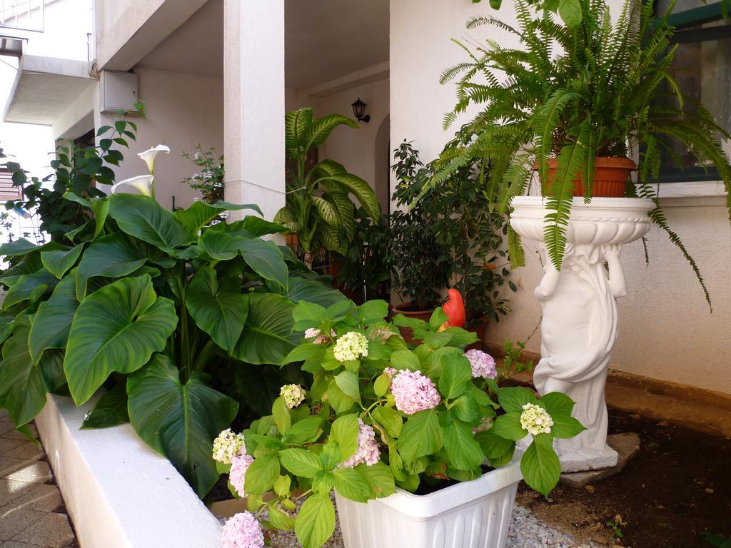 Apartments Sanda Tribunj Tribalj المظهر الخارجي الصورة